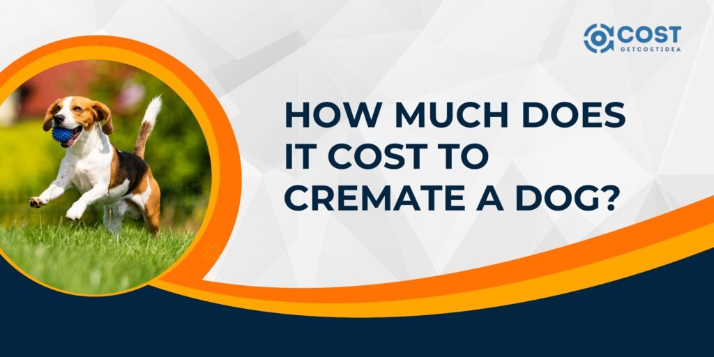 How Much Does It Cost to Cremate a Dog