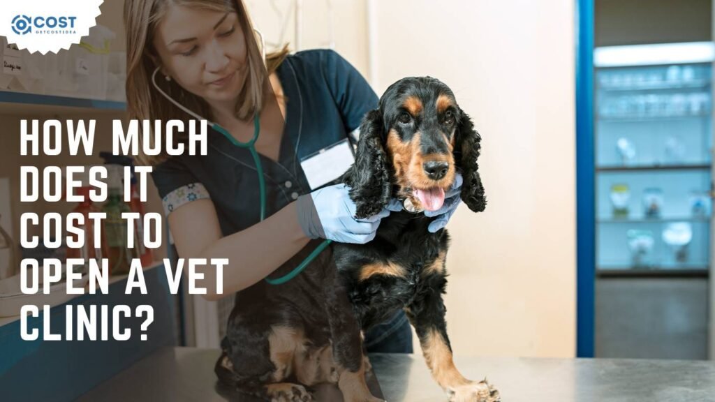 How Much Does It Cost to Open a Vet Clinic