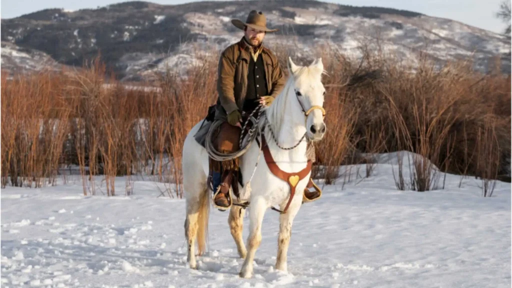 Introduction To Horse Boarding