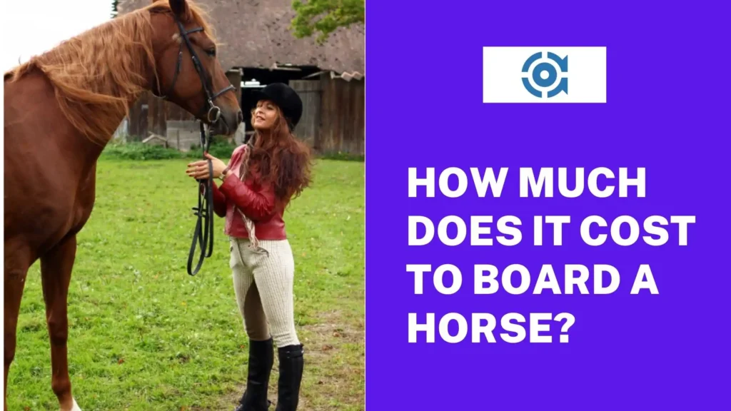 How Much Does It Cost to Board a Horse?